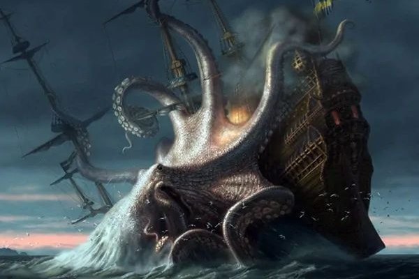 Kraken whitenet kraken whitenet 2n com