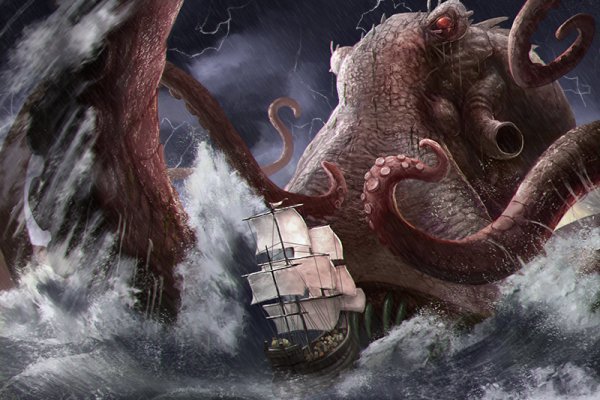 Kraken whitenet store