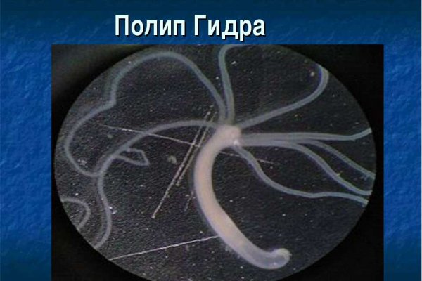 Кракен маркетплейс работает
